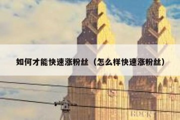 如何才能快速涨粉丝（怎么样快速涨粉丝）