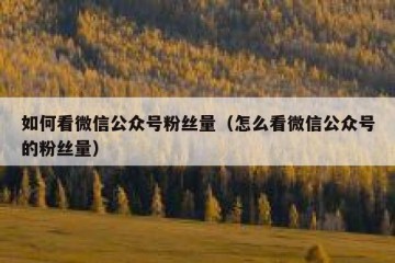 如何看微信公众号粉丝量（怎么看微信公众号的粉丝量）
