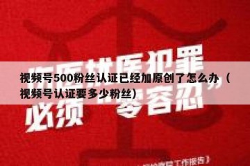 视频号500粉丝认证已经加原创了怎么办（视频号认证要多少粉丝）