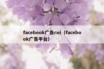 facebook广告roi（facebook广告平台）
