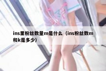 ins里粉丝数量m是什么（ins粉丝数m和k是多少）