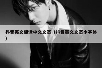 抖音英文翻译中文文案（抖音英文文案小字体）
