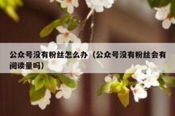 公众号没有粉丝怎么办（公众号没有粉丝会有阅读量吗）
