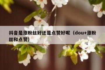 抖音是涨粉丝好还是点赞好呢（dou+涨粉丝和点赞）