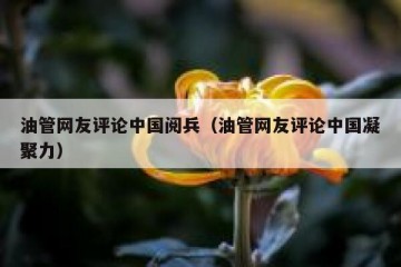 油管网友评论中国阅兵（油管网友评论中国凝聚力）