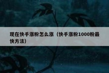 现在快手涨粉怎么涨（快手涨粉1000粉最快方法）