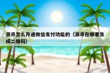 派币怎么开通微信支付功能的（派币在哪里生成二维码）