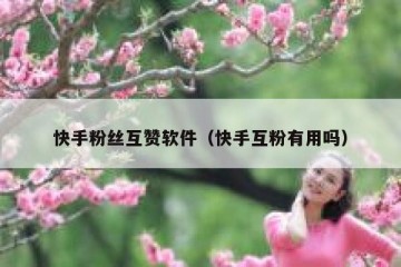 快手粉丝互赞软件（快手互粉有用吗）