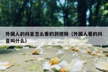 外国人的抖音怎么看的到视频（外国人看的抖音叫什么）