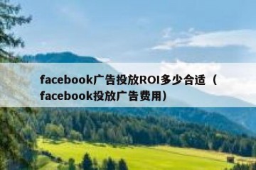 facebook广告投放ROI多少合适（facebook投放广告费用）