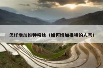 怎样增加推特粉丝（如何增加推特的人气）