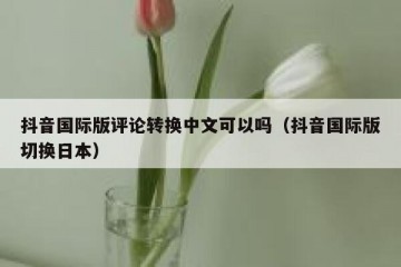 抖音国际版评论转换中文可以吗（抖音国际版切换日本）