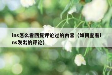 ins怎么看回复评论过的内容（如何查看ins发出的评论）