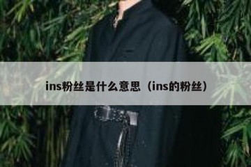 ins粉丝是什么意思（ins的粉丝）