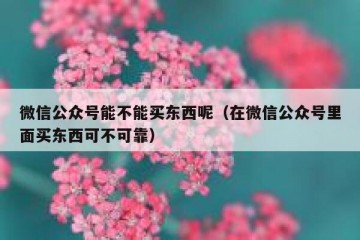 微信公众号能不能买东西呢（在微信公众号里面买东西可不可靠）