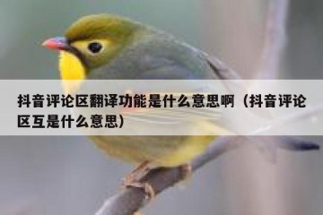 抖音评论区翻译功能是什么意思啊（抖音评论区互是什么意思）