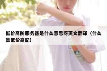 低价高防服务器是什么意思呀英文翻译（什么是低价高配）