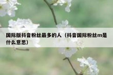 国际版抖音粉丝最多的人（抖音国际粉丝m是什么意思）