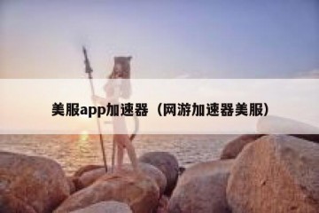 美服app加速器（网游加速器美服）