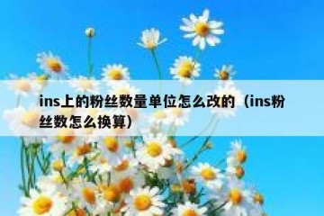 ins上的粉丝数量单位怎么改的（ins粉丝数怎么换算）