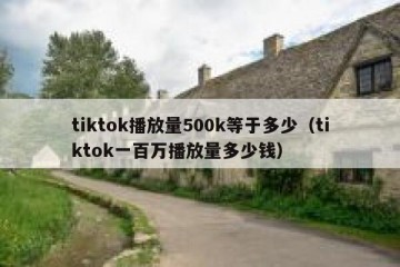 tiktok播放量500k等于多少（tiktok一百万播放量多少钱）