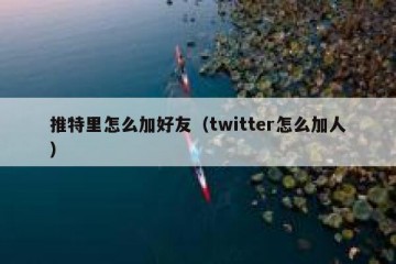 推特里怎么加好友（twitter怎么加人）