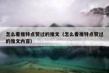 怎么看推特点赞过的推文（怎么看推特点赞过的推文内容）