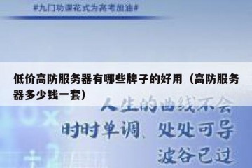 低价高防服务器有哪些牌子的好用（高防服务器多少钱一套）