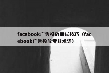 facebook广告投放面试技巧（facebook广告投放专业术语）