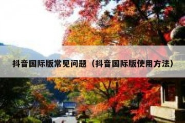 抖音国际版常见问题（抖音国际版使用方法）