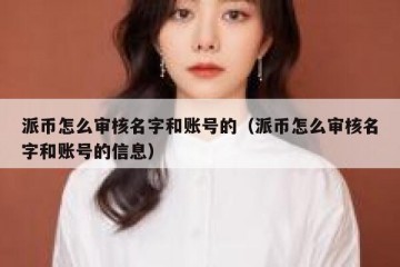 派币怎么审核名字和账号的（派币怎么审核名字和账号的信息）