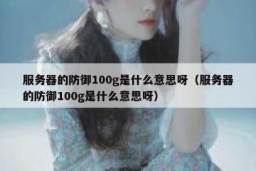 服务器的防御100g是什么意思呀（服务器的防御100g是什么意思呀）