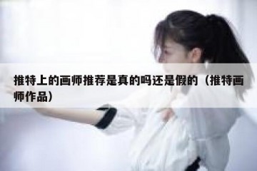 推特上的画师推荐是真的吗还是假的（推特画师作品）