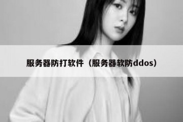 服务器防打软件（服务器软防ddos）
