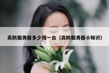 高防服务器多少钱一台（高防服务器小知识）