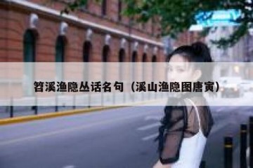 笤溪渔隐丛话名句（溪山渔隐图唐寅）