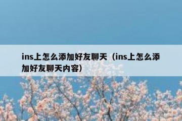 ins上怎么添加好友聊天（ins上怎么添加好友聊天内容）