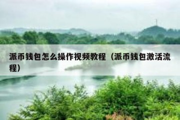 派币钱包怎么操作视频教程（派币钱包激活流程）