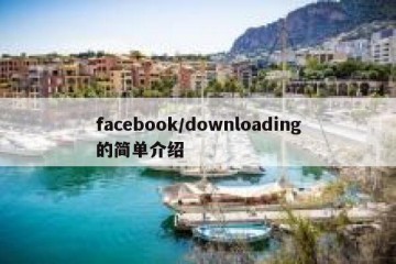 facebook/downloading的简单介绍
