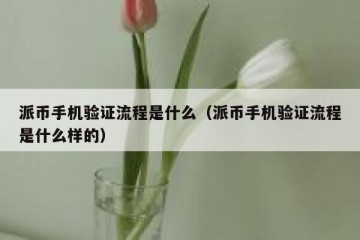 派币手机验证流程是什么（派币手机验证流程是什么样的）
