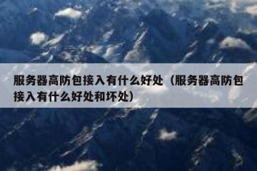 服务器高防包接入有什么好处（服务器高防包接入有什么好处和坏处）