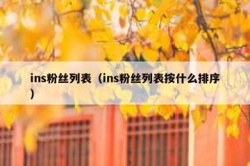 ins粉丝列表（ins粉丝列表按什么排序）