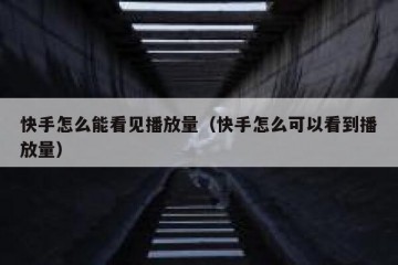 快手怎么能看见播放量（快手怎么可以看到播放量）