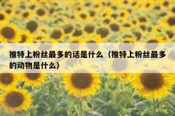 推特上粉丝最多的话是什么（推特上粉丝最多的动物是什么）