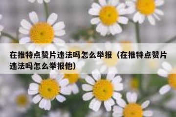 在推特点赞片违法吗怎么举报（在推特点赞片违法吗怎么举报他）