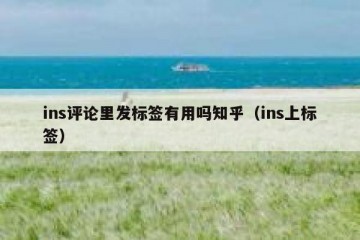 ins评论里发标签有用吗知乎（ins上标签）