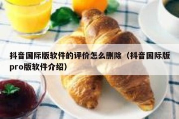 抖音国际版软件的评价怎么删除（抖音国际版pro版软件介绍）