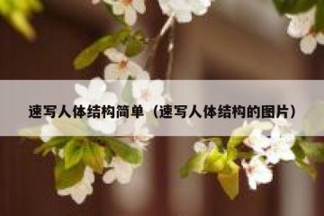 速写人体结构简单（速写人体结构的图片）