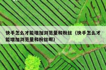 快手怎么才能增加浏览量和粉丝（快手怎么才能增加浏览量和粉丝呢）