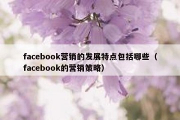 facebook营销的发展特点包括哪些（facebook的营销策略）